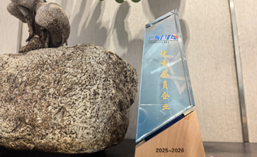 问鼎娱乐荣获成都新型显示行业协会“2025年度优秀会员企业奖”