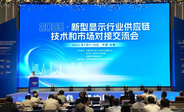 问鼎娱乐“G6TFT-LCD用相移掩膜版（PSM）项目”荣获“2024年度新型显示产业链创新突破奖”