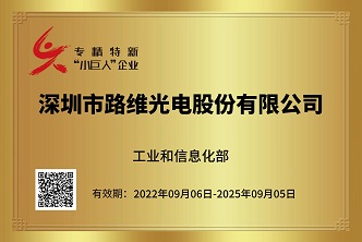 热烈庆祝深圳问鼎被授于国家级专精特新“小巨人”称号