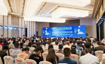 问鼎娱乐出席2019海峡两岸（成都）新型显示产业高峰论坛